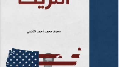 امريكا من الداخل